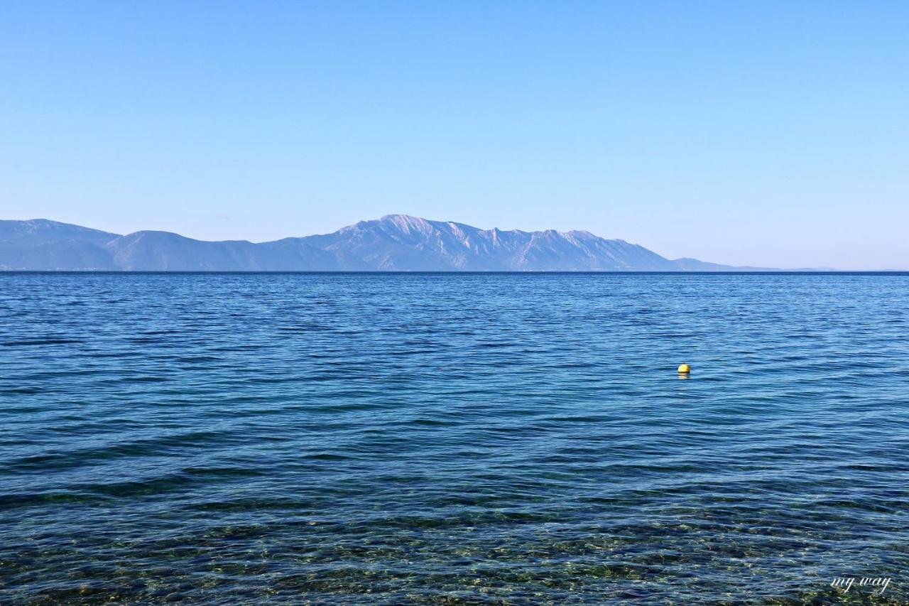 Apartmán Family Gradac  Exteriér fotografie
